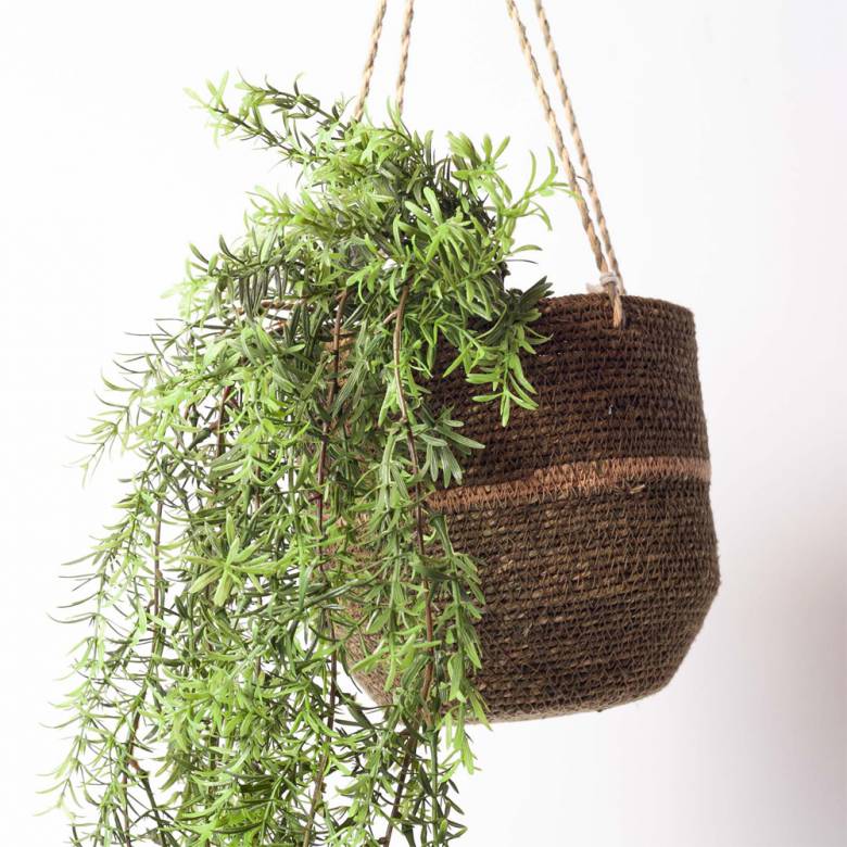 Faux Asparagus Hanging Trailing Plant