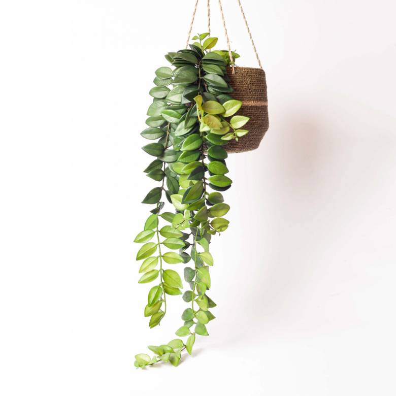 Faux Green Leaf Hanging Trailing Plant