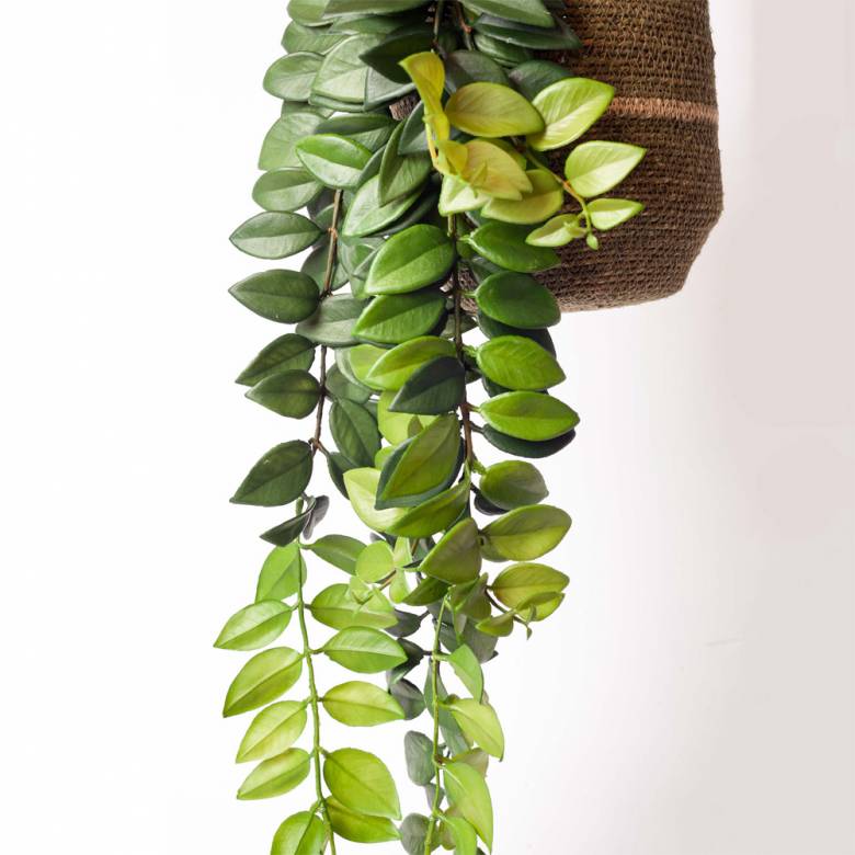 Faux Green Leaf Hanging Trailing Plant