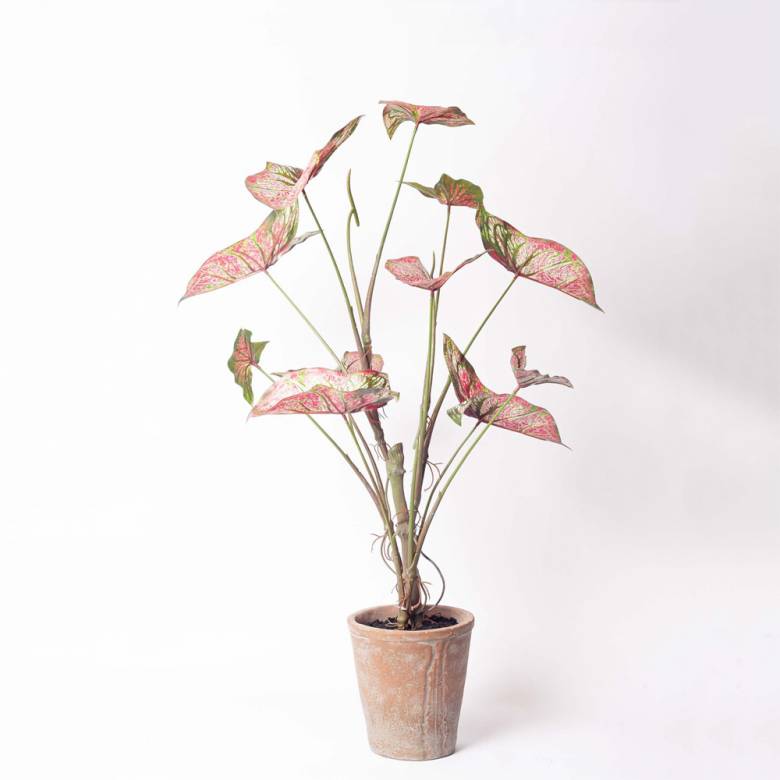 Faux Pink Caladium Plant In Pot