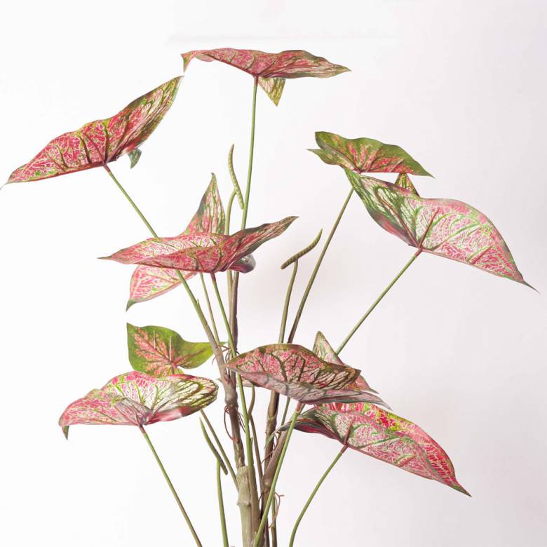 Faux Pink Caladium Plant In Pot