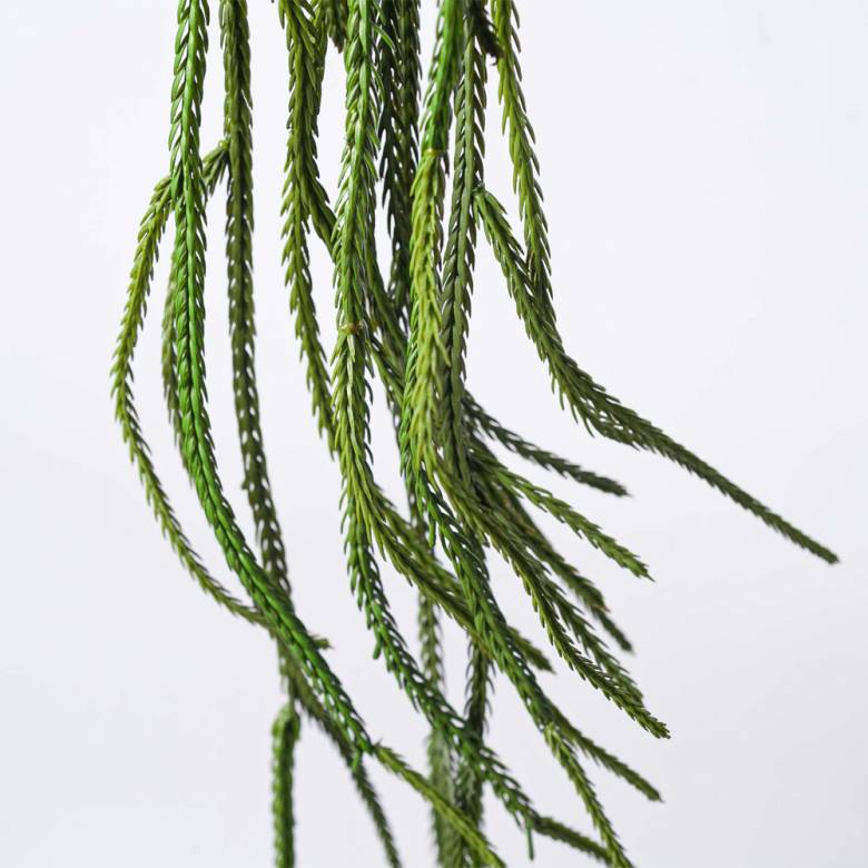 Faux Succulent Hanging Trailing Plant In Dark Green