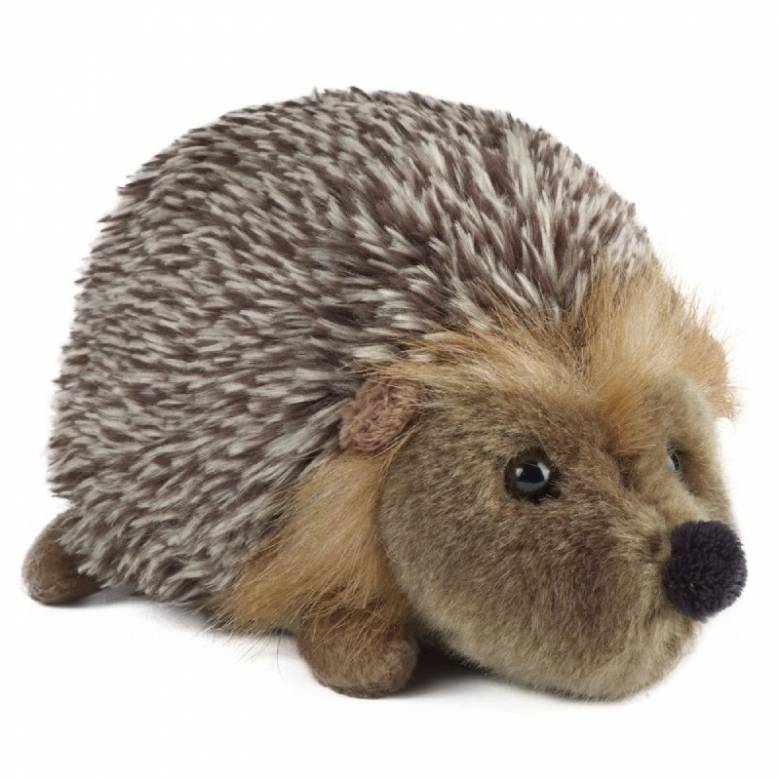 Hedgehog Soft Toy 18cm