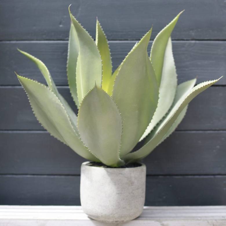 Faux Aloe Vera Succulent Plant In Grey Clay Pot