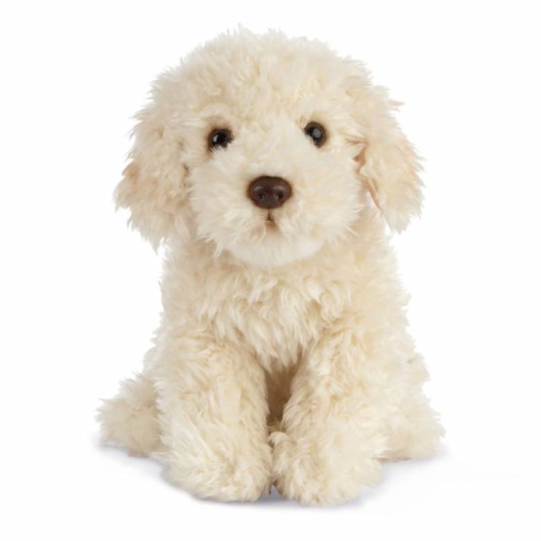 Labradoodle Dog Soft Toy 0+