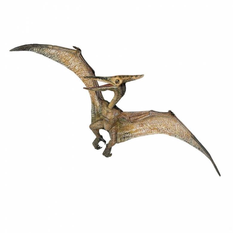 Pteranodon -  Papo Dinosaur Figure