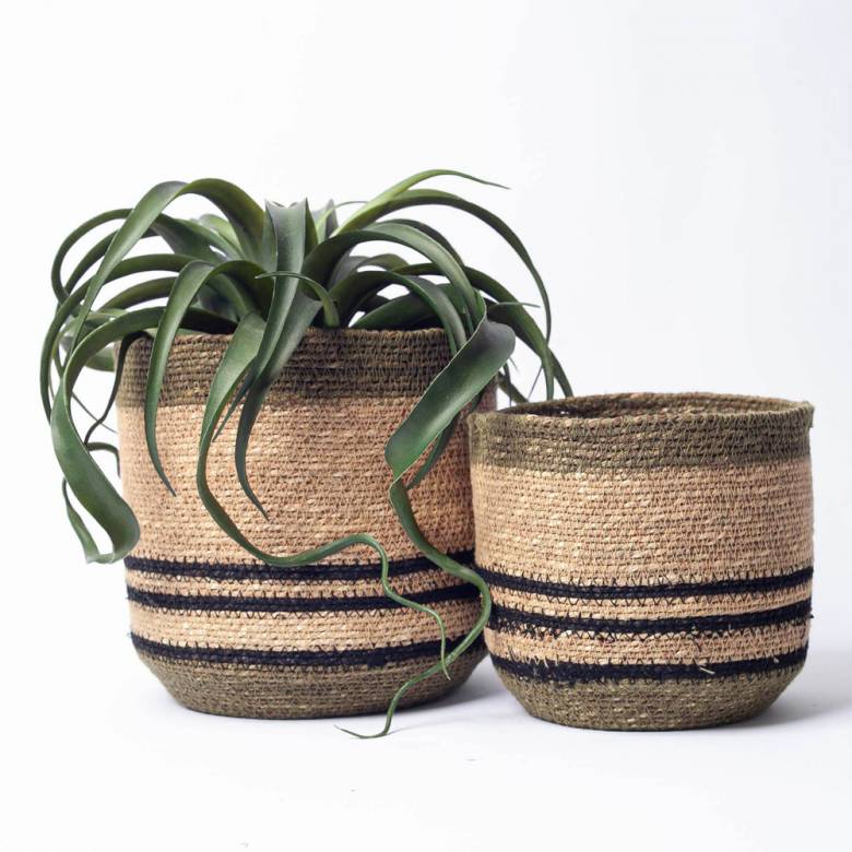 Set Of 2 Seagrass Baskets With Stitching In Olive Green