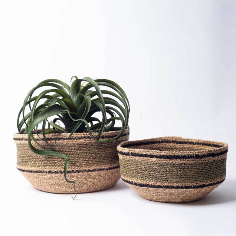 Set Of 2 Seagrass Bowl Baskets In Olive Green