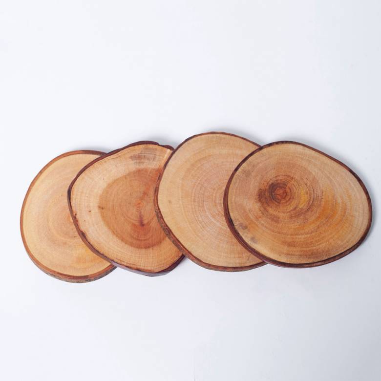 Set Of 4 Raw Mahogany Tree Trunk Coasters