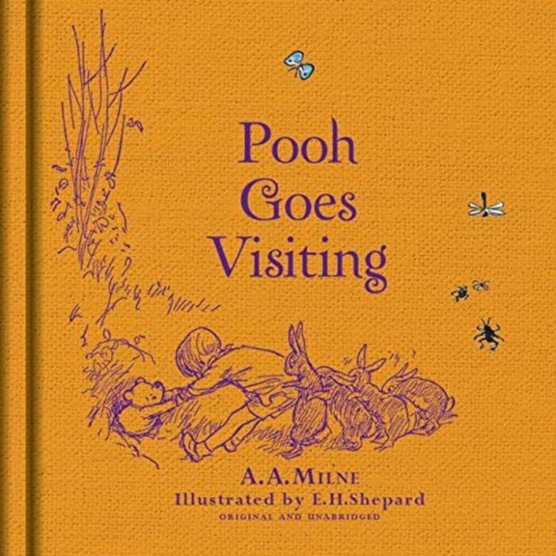 Winnie-the-Pooh: Pooh Goes Visiting - Hardback Book