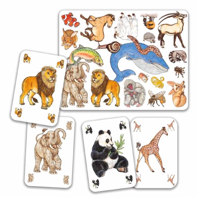 Zanimatch Card Game By Djeco 5+