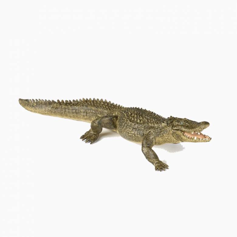 Alligator - Papo Wild Animal Figure