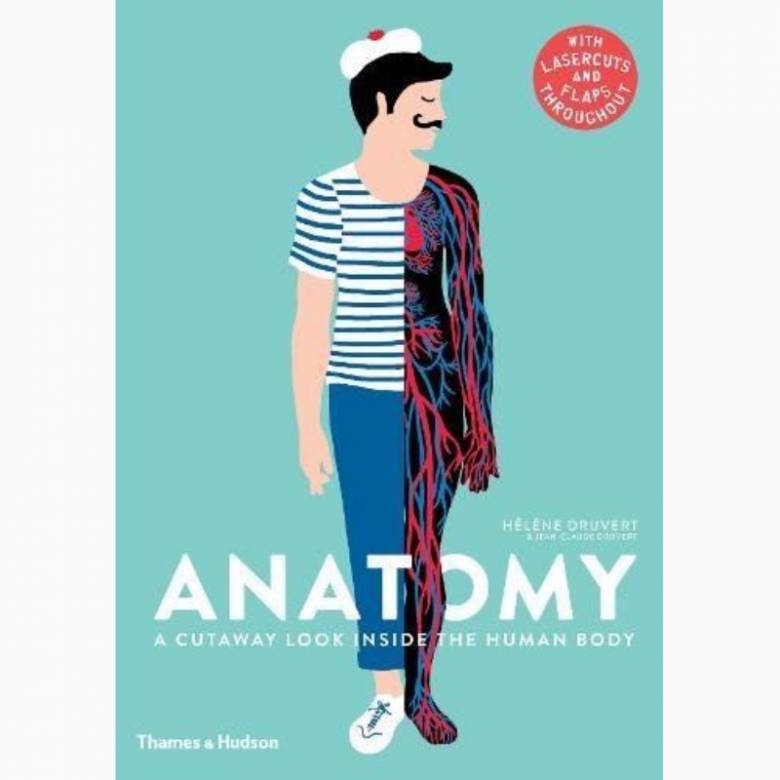 Anatomy: A Cutaway look Inside The Human Body - Hardback Book