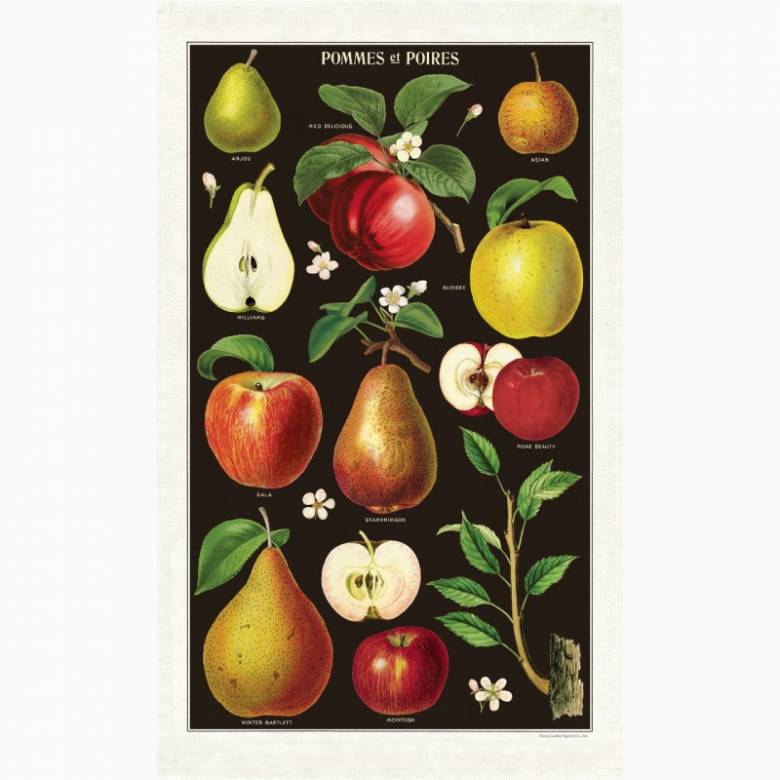 Apples & Pears Tea Towel With Gift Bag