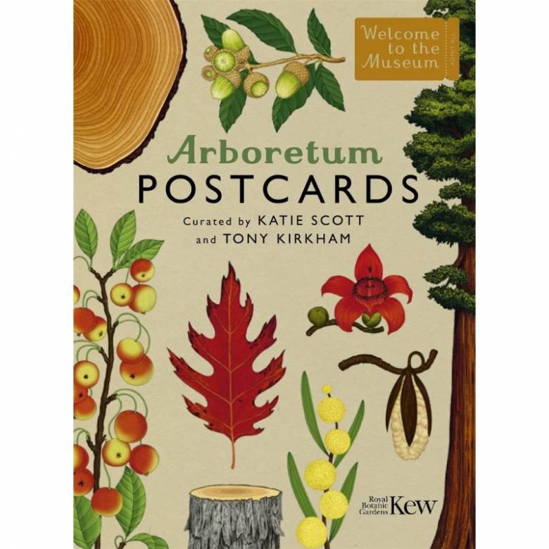 Arboretum - Box Of 50 Postcards