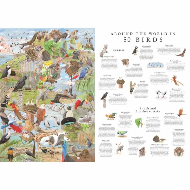 Around The World In 50 Birds - 1000 Piece Jigsaw Puzzle