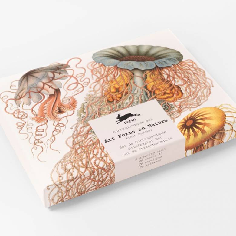 Art Forms In Nature - Correspondence Set