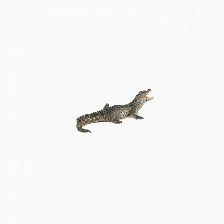Baby Crocodile - Papo Wild Animal Figure