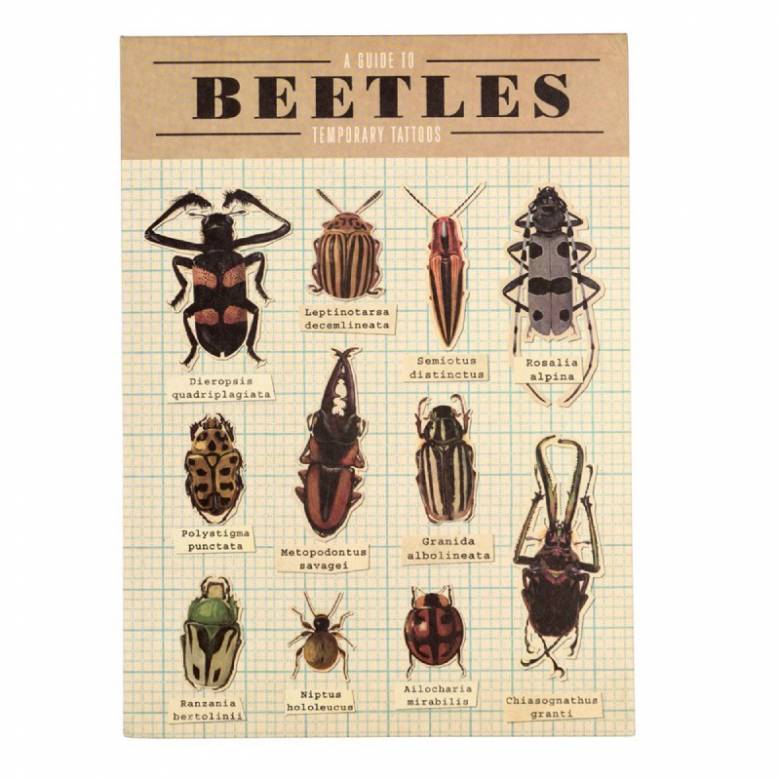 Beetles Temporary Tattoos 3+