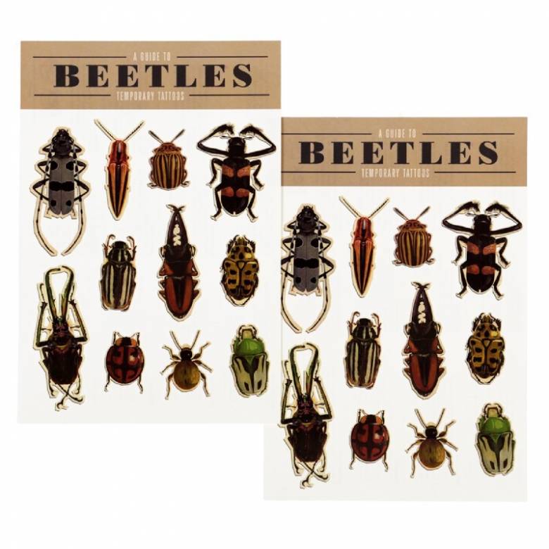 Beetles Temporary Tattoos 3+