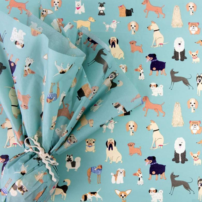 Best In Show Tissue Paper