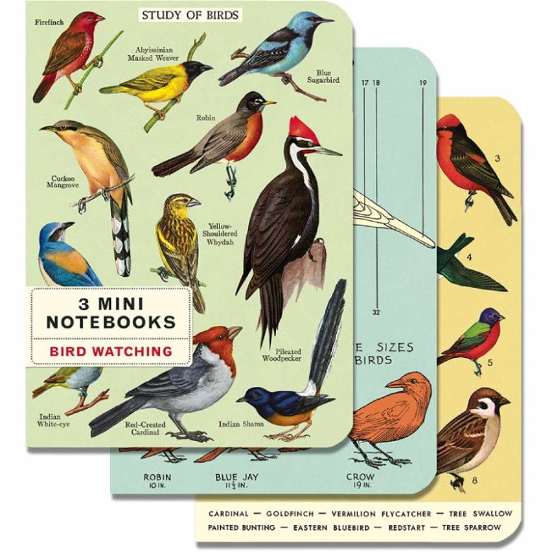 Bird Watching - Set Of 3 Mini Notebooks