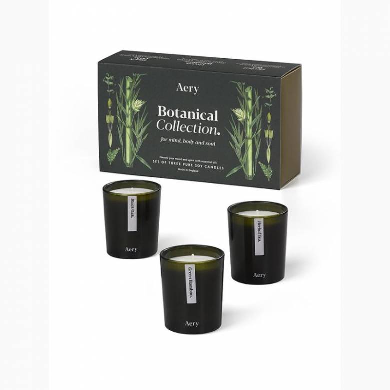 Botanical Green Gift Set Of 3 Votive Candles By Aery