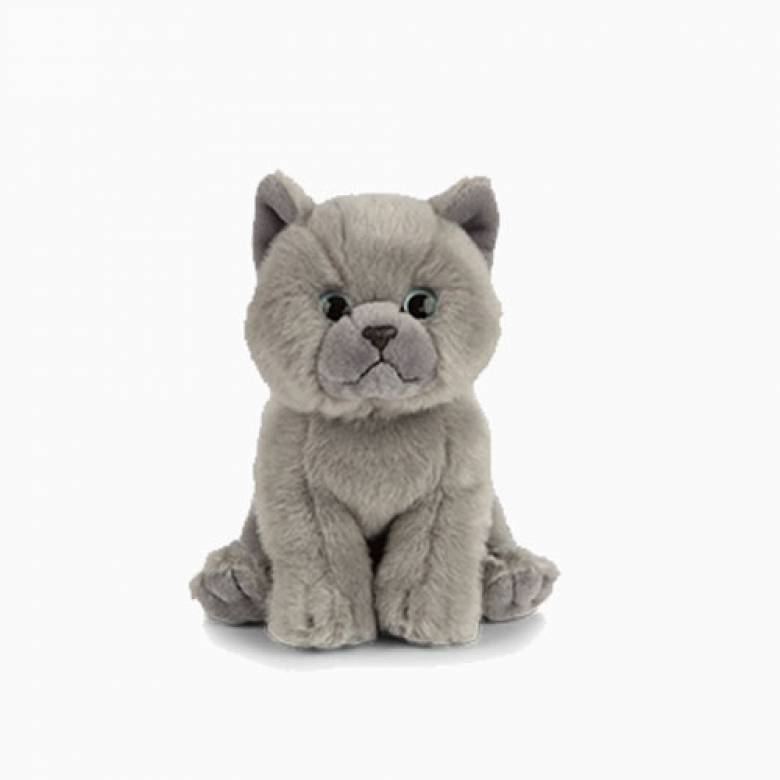 British Shorthair Kitten Soft Toy 0+