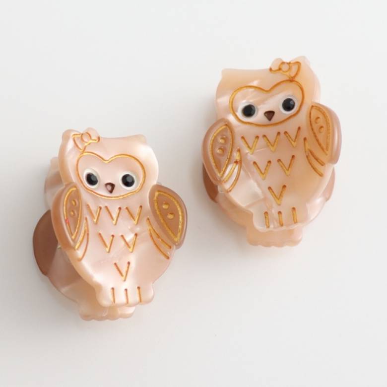 Brown Owls - Pair Of Claw Hair Clips