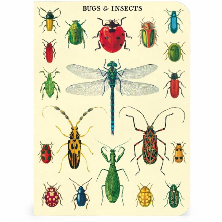 Bugs & Insects - Set Of 3 Mini Notebooks