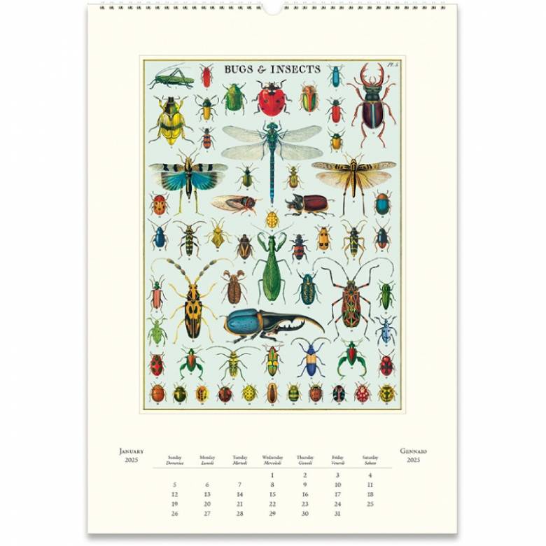 Bugs & Insects Wall Calendar By Cavallini 2025