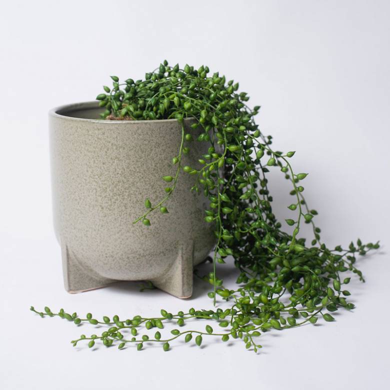 Ceramic Planter On Legs In Lichen