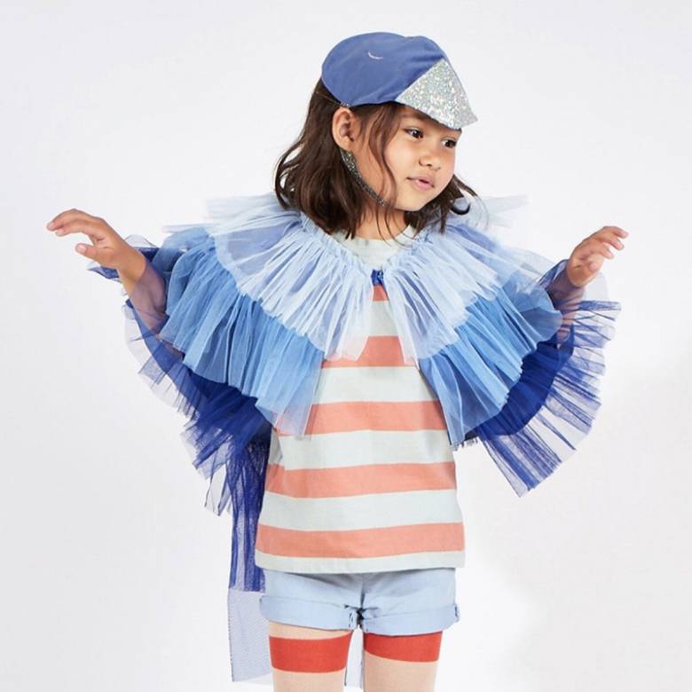 Children's Blue Bird Costume 3-6yrs