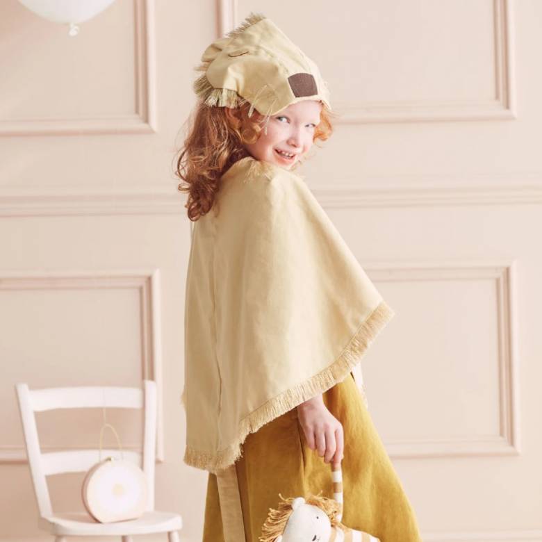 Children's Lion Fancy Dress Costume 3-6yrs