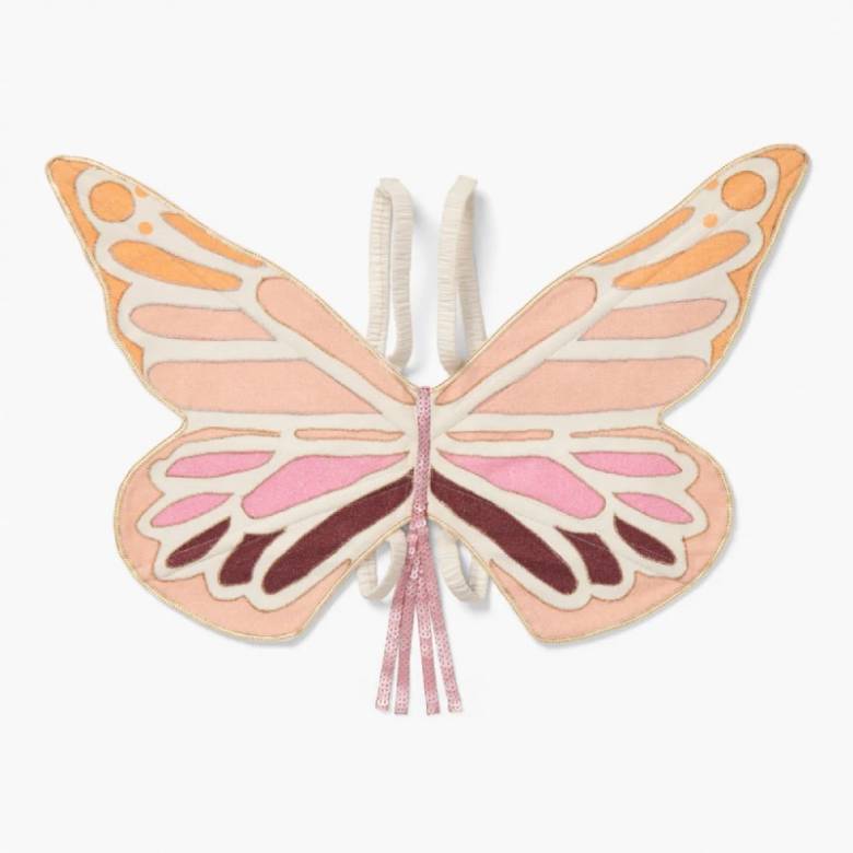 Children's Pink Butterfly Wings 3+