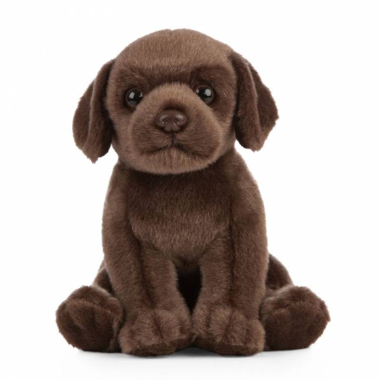 Chocolate Labrador Puppy Soft Toy 0+