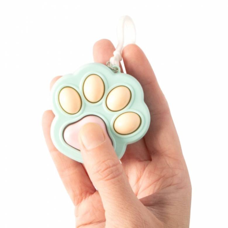 Click Clack Paw Fidget Toy 3+
