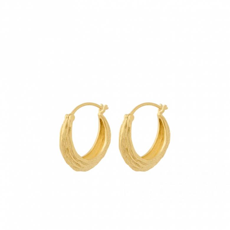 Coastline Hoop Earrings In Gold By Pernille Corydon