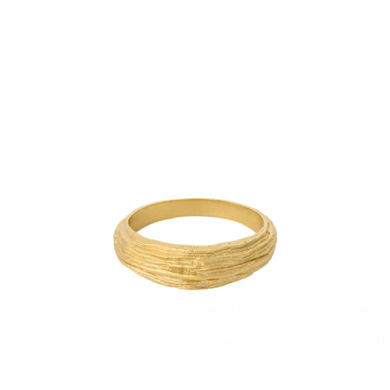 Coastline Ring In Gold S52 By Pernille Corydon