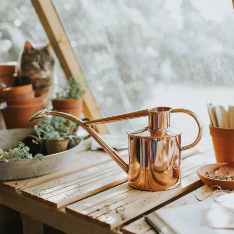 Copper Watering Can & Brass Mister Set