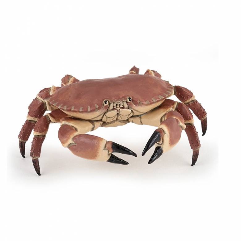 Crab - Papo Wild Animal Figure