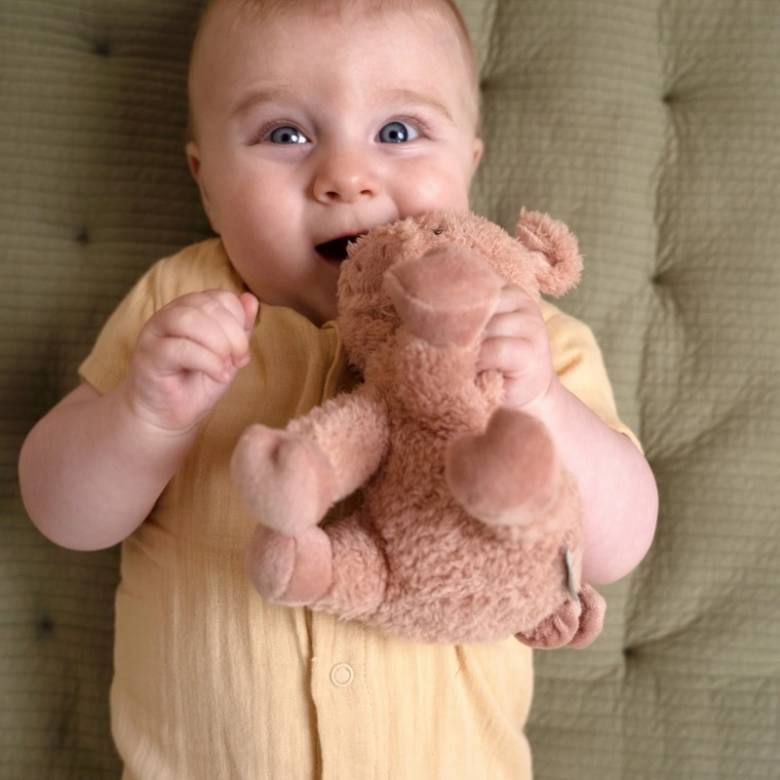 Cuddle Pig Little Farm Soft Toy By Little Dutch 0+