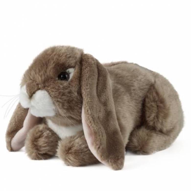 Dark Brown Lop Eared Rabbit Soft Toy 0+