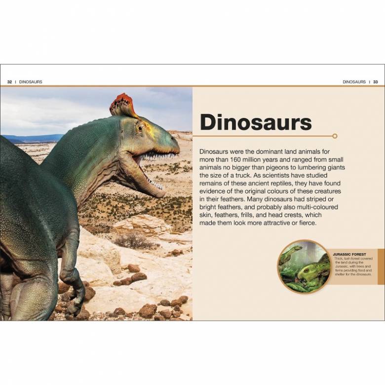 DK Pocket Eyewitness - Dinosaurs: Facts At Your Fingertips