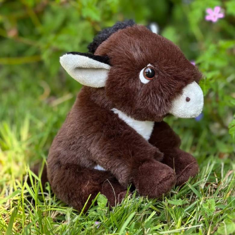 Donkey Cuddle Cub Soft Toy 0+