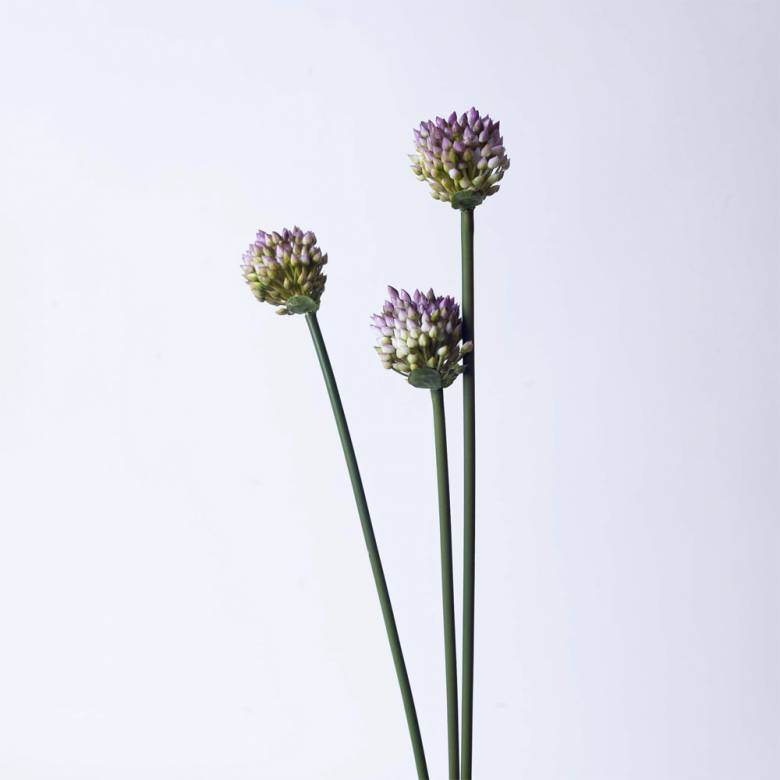 Faux Multi Allium in Bud Branch