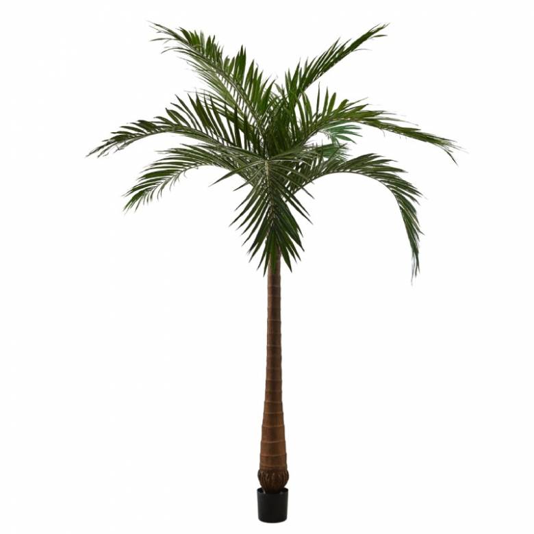 Faux Palm Tree Plant H:213cm