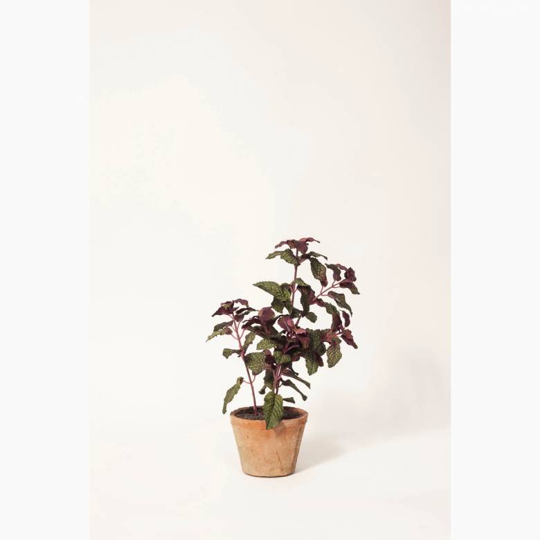 Faux Mint Plant In Clay Pot H:30cm