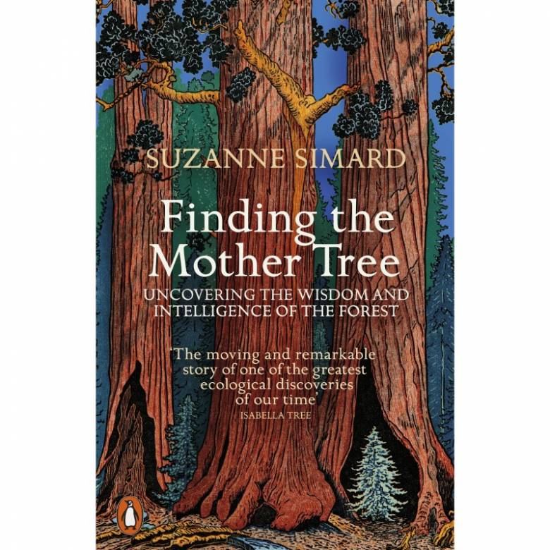 Finding The Mother Tree By Suzanne Simard - Paperback Book