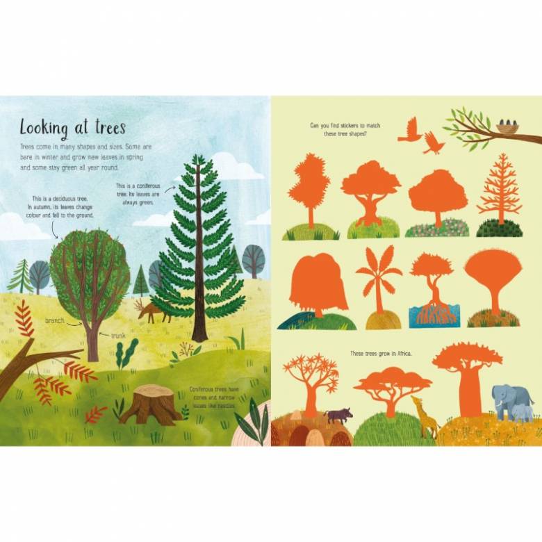 First Sticker Book: Trees